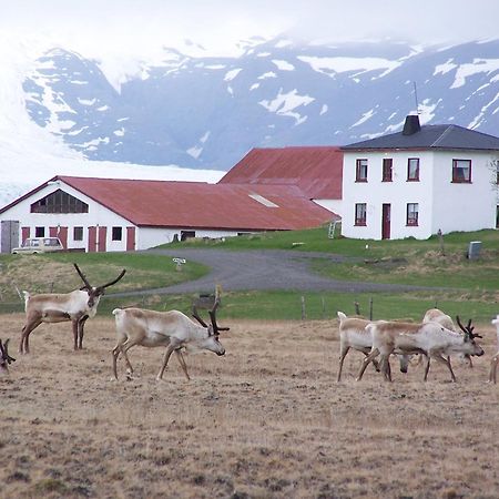Guesthouse Hólmur エクステリア 写真