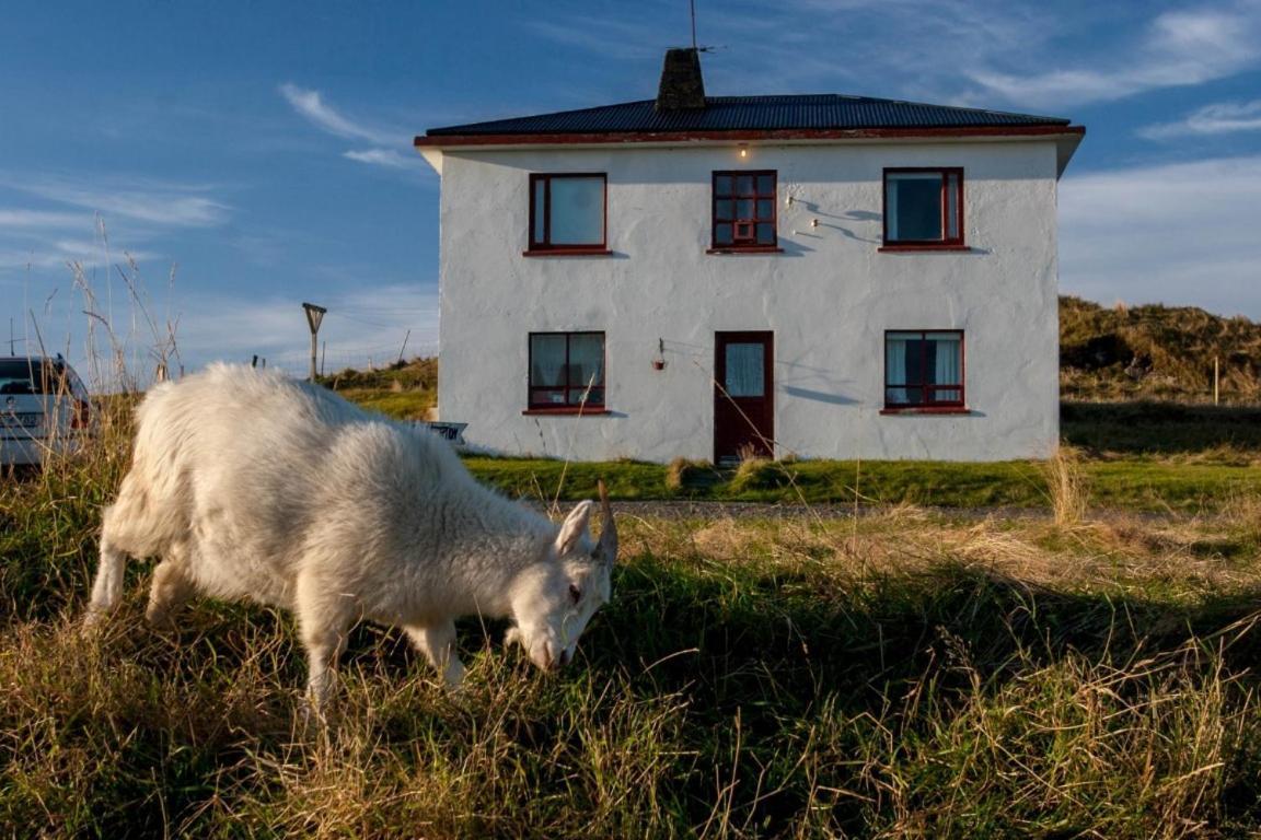 Guesthouse Hólmur エクステリア 写真